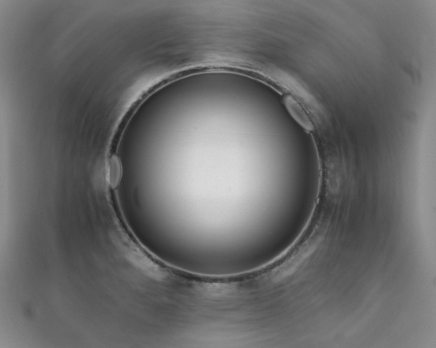 X0000111841280200907231400