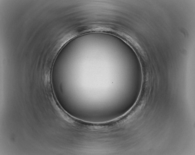 X0000111841281200907231400