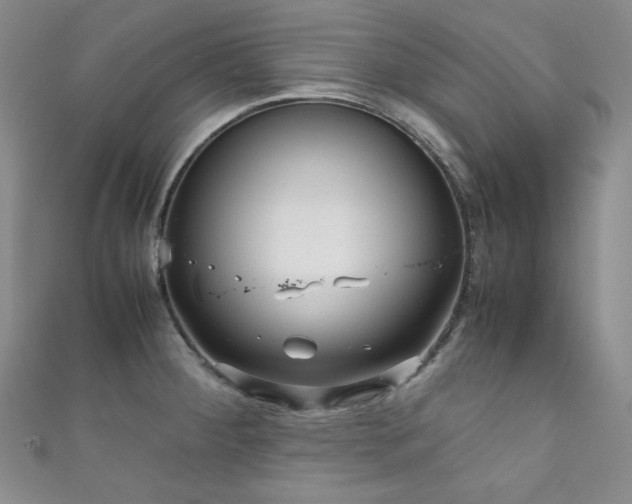 X0000111841284200907231400