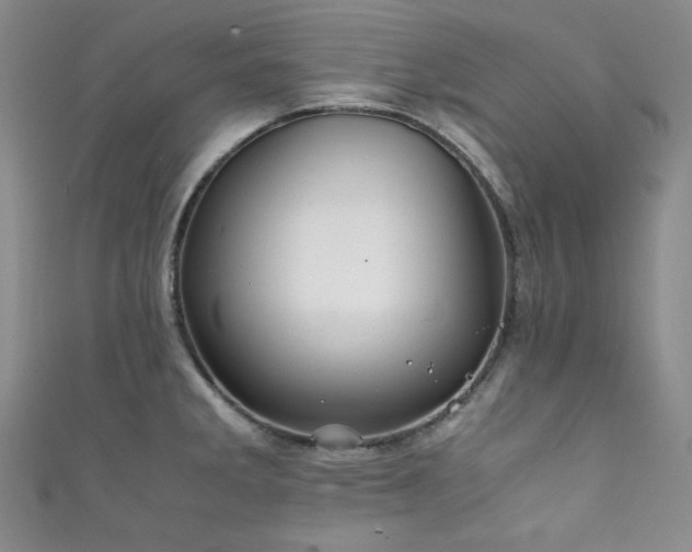 X0000111841285200907231400