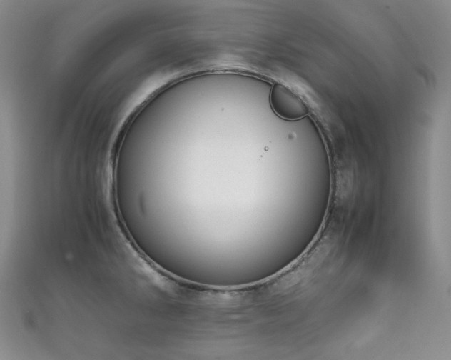 X0000111841286200907231400