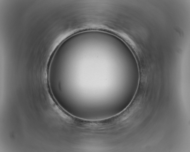 X0000111841287200907231400