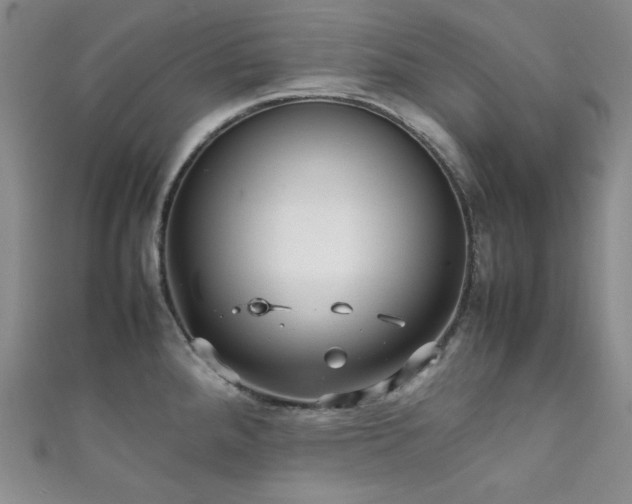 X0000111841288200907231400
