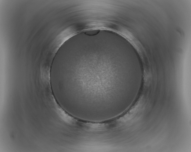 X0000111841289200907231400