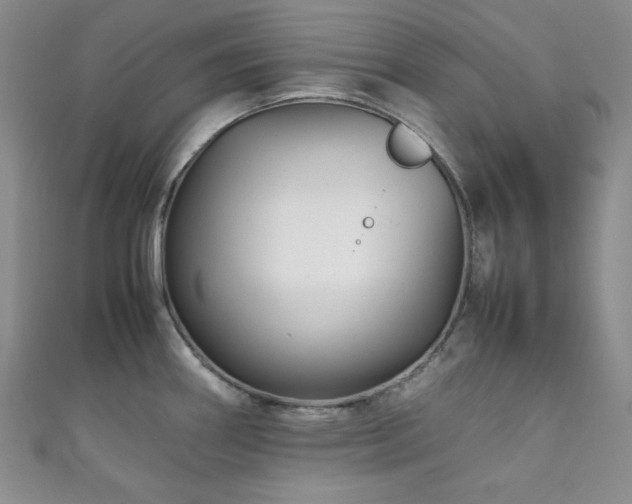 X0000111841290200907231400