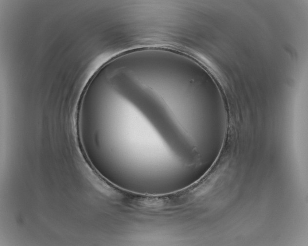 X0000111841291200907231400