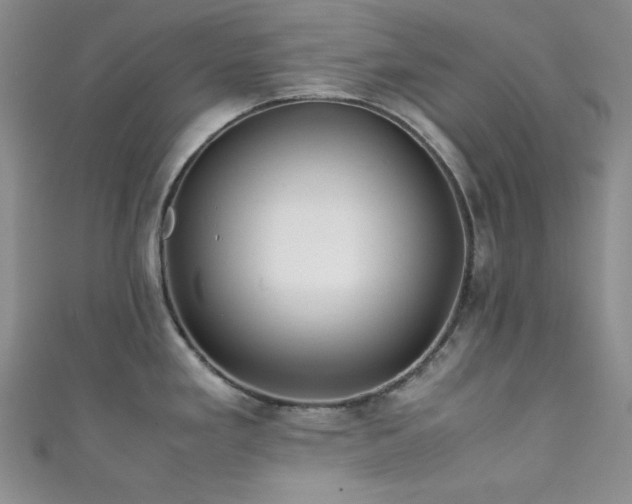 X0000111841293200907231400