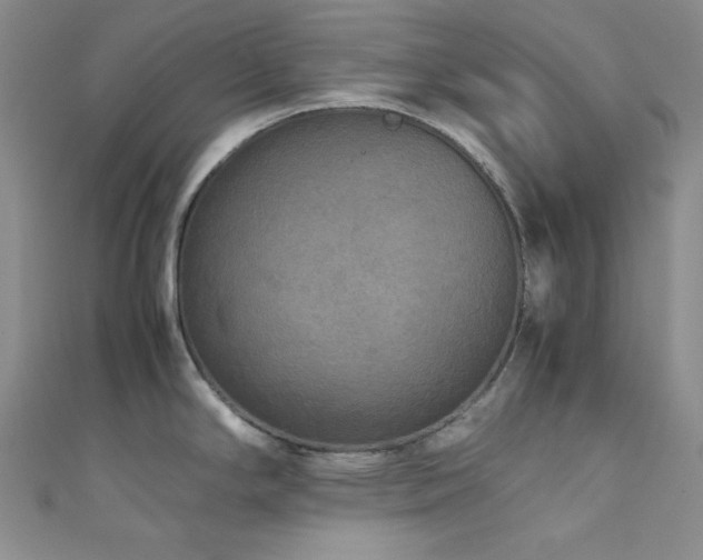 X0000111841294200907231400