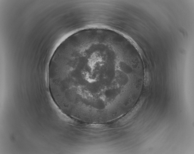 X0000111841295200907231400
