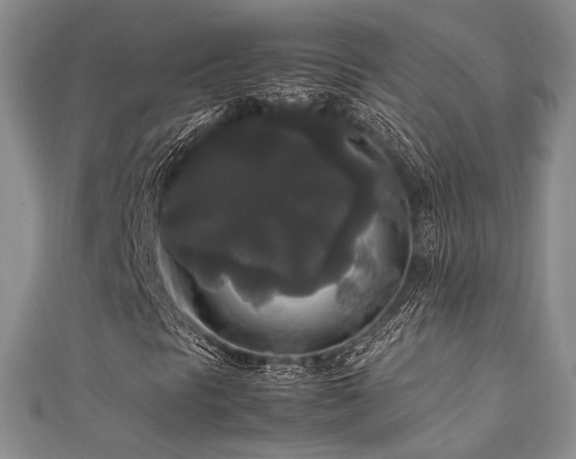 X0000111841297200907231359