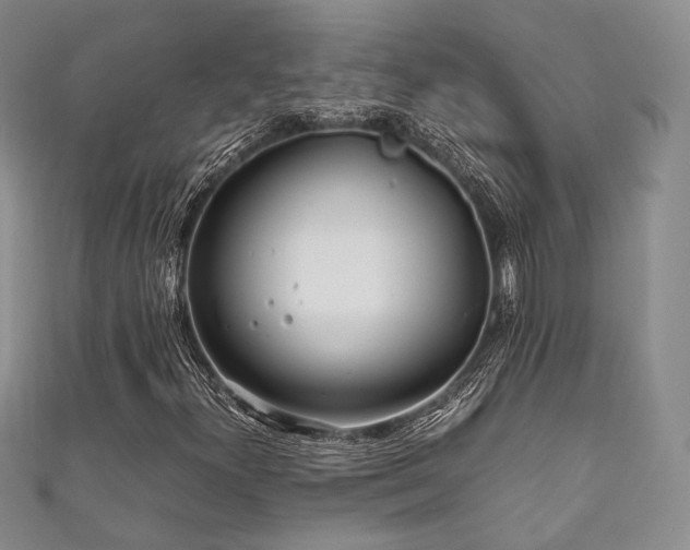X0000111841300200907231359