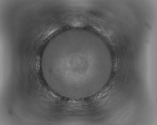 X0000111841301200907231359