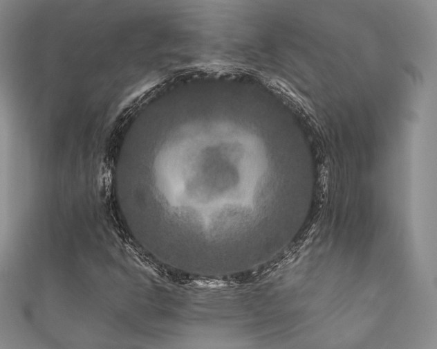X0000111841302200907231359