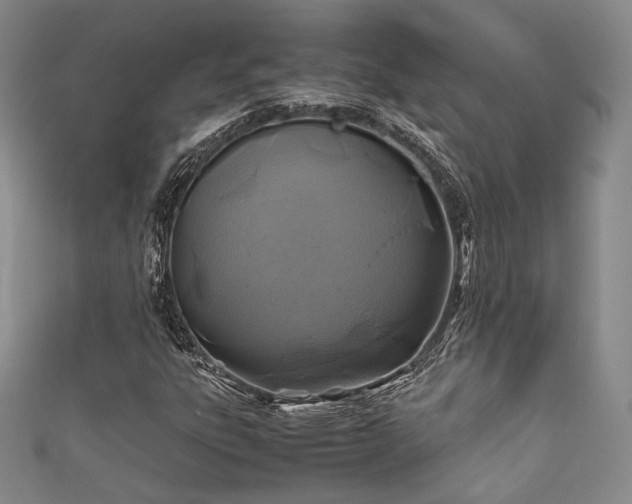 X0000111841303200907231359