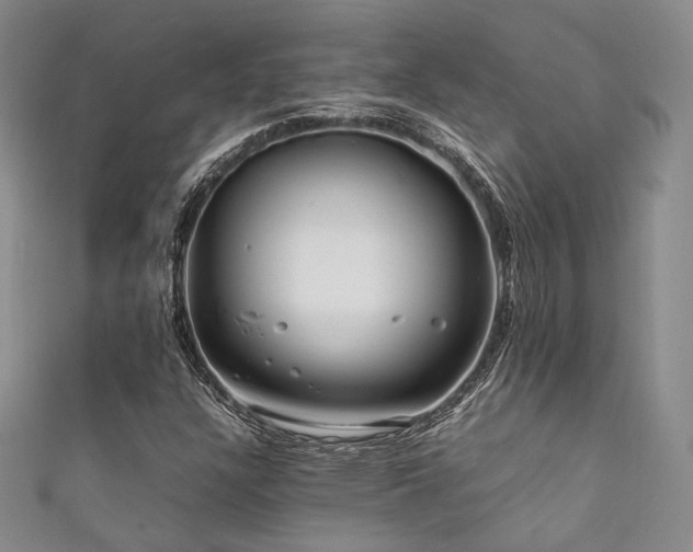 X0000111841304200907231359
