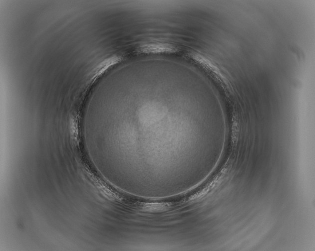 X0000111841305200907231359