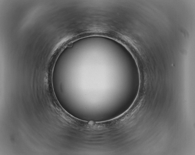 X0000111841307200907231359