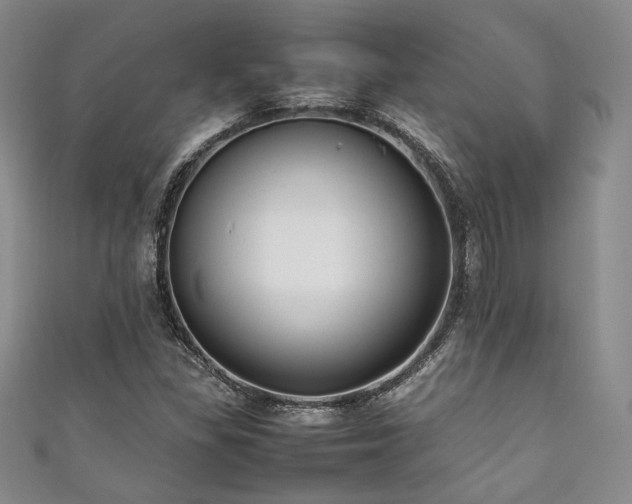 X0000111841309200907231359