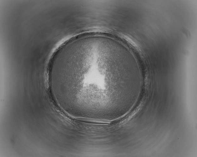 X0000111841310200907231359