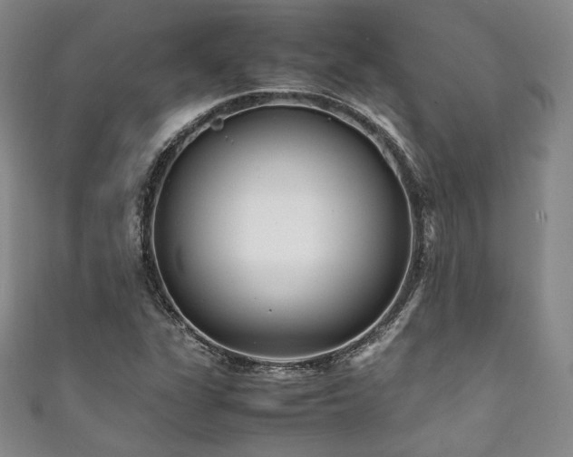 X0000111841311200907231359