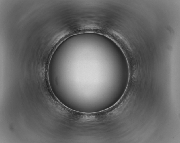 X0000111841313200907231359