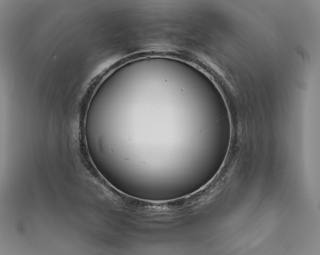 X0000111841315200907231359