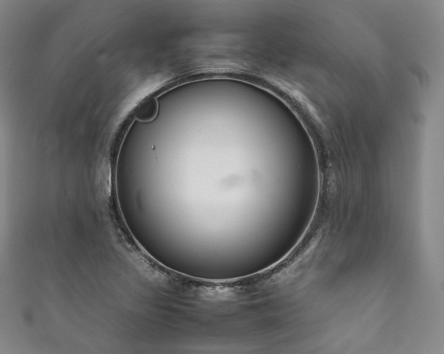 X0000111841317200907231400