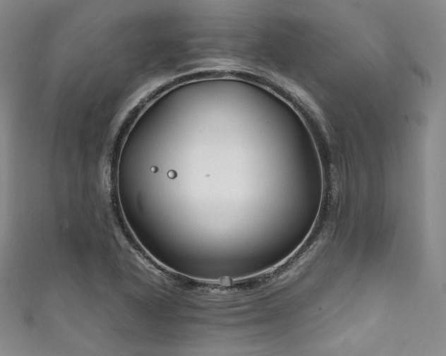 X0000111841318200907231400
