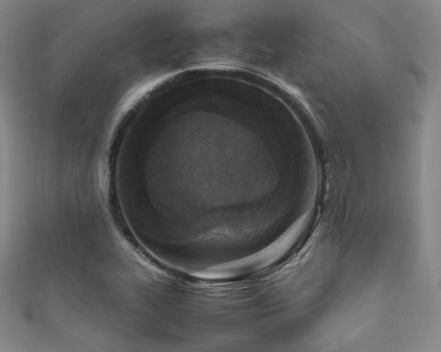 X0000111841319200907231400