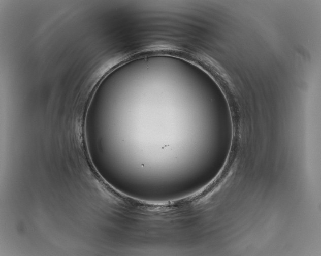 X0000111841321200907231400