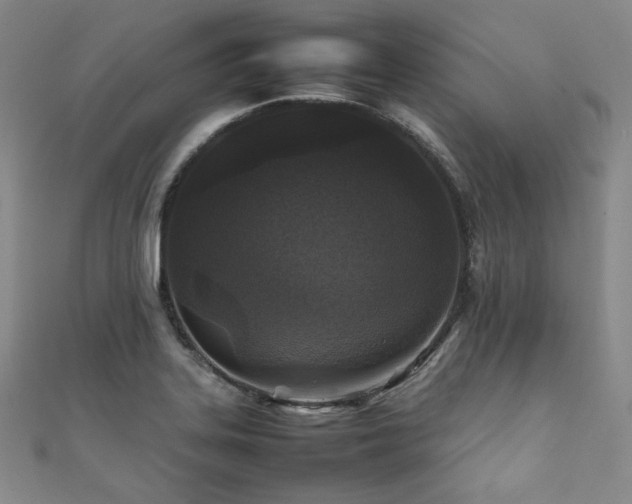 X0000111841323200907231400