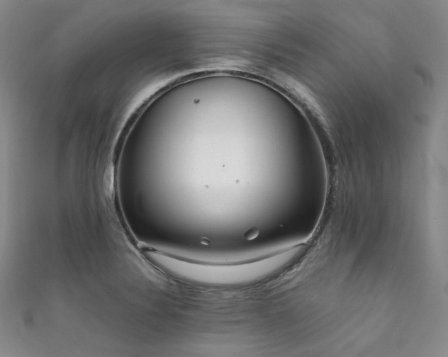 X0000111841324200907231400