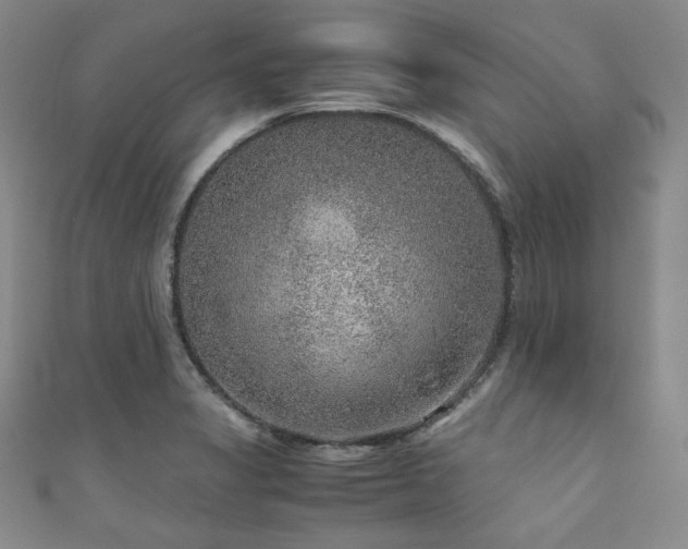 X0000111841325200907231400