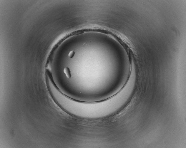 X0000111841326200907231400