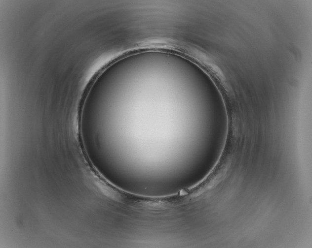 X0000111841328200907231400