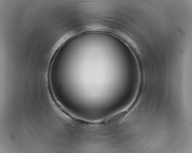 X0000111841330200907231400