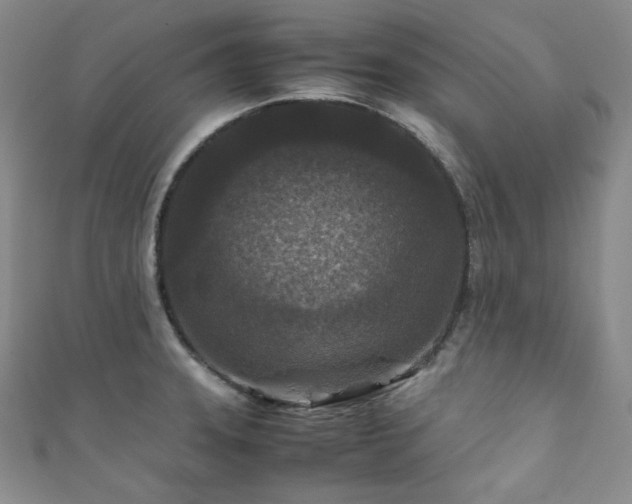 X0000111841331200907231400