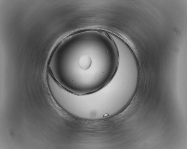 X0000111841332200907231400