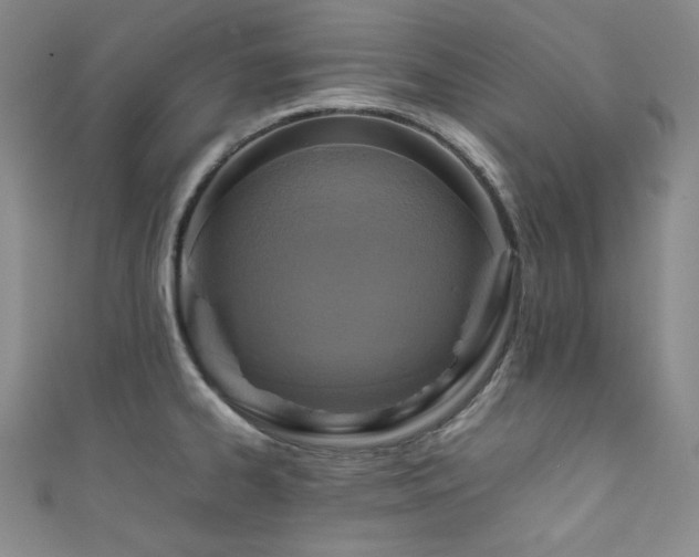 X0000111841334200907231400