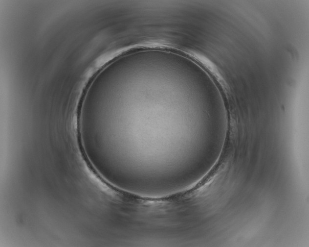 X0000111841335200907231400