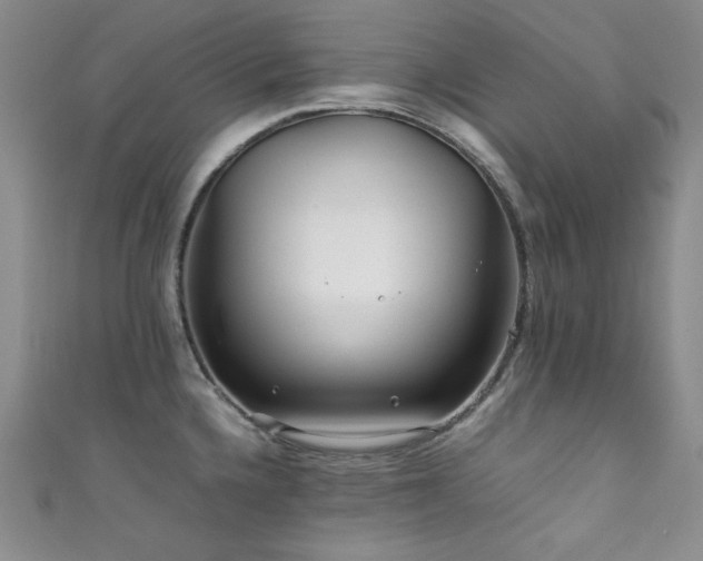 X0000111841336200907231400