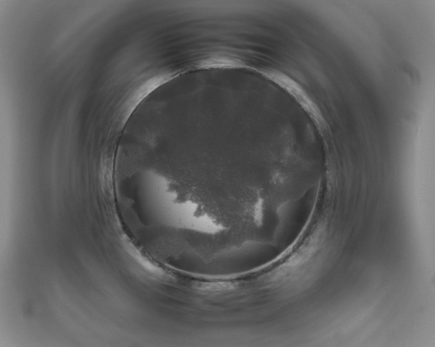 X0000111841337200907231400