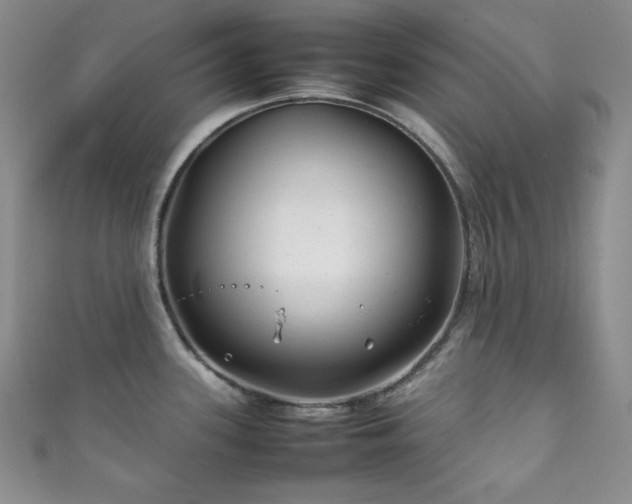 X0000111841339200907231400