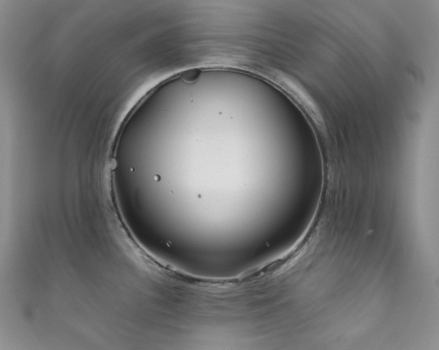 X0000111841340200907231400