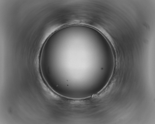 X0000111841341200907231400