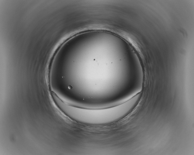 X0000111841342200907231400