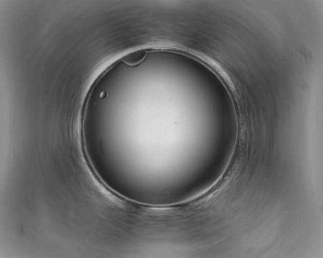 X0000111841343200907231400