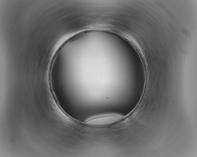 X0000111841344200907231400