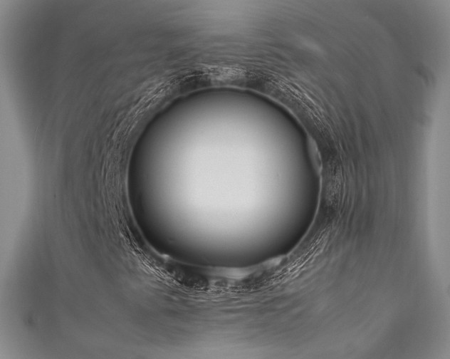 X0000111841345200907231359