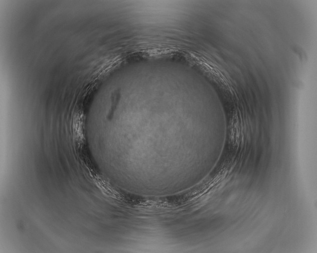 X0000111841346200907231359